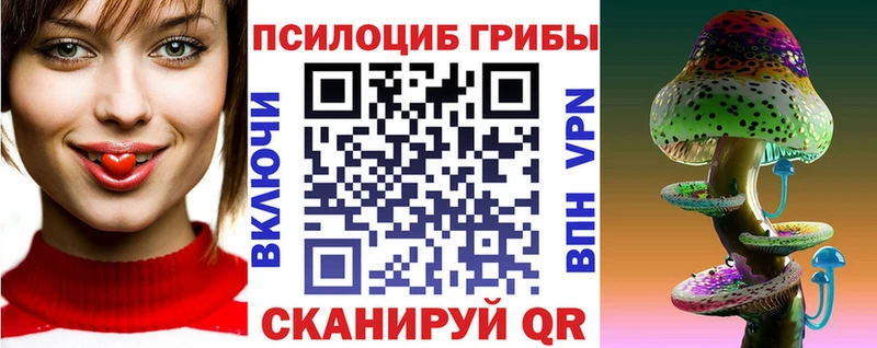 Галлюциногенные грибы Cubensis мега сайт Невель